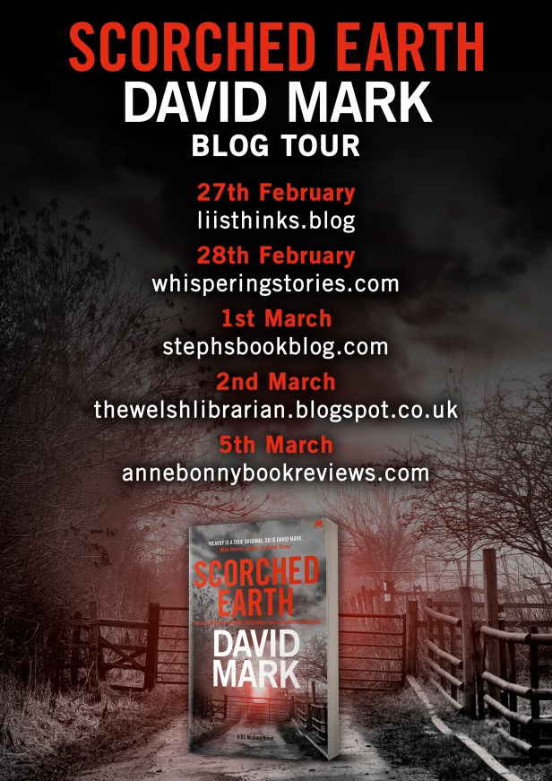 Blog Tour Poster